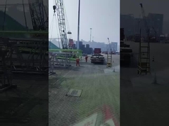 Crawler Lifting Crane